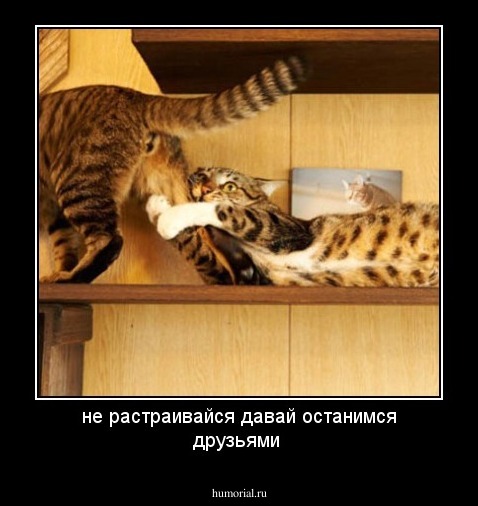 не растраивайся давай останимся друзьями
