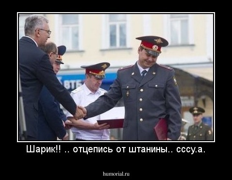 Шарик!! .. отцепись от штанины.. сссу.а.