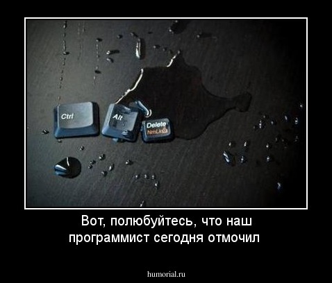 Вот, полюбуйтесь, что наш программист сегодня отмочил
