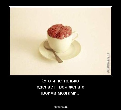 Это и не только сделает твоя жена с твоими мозгами..
