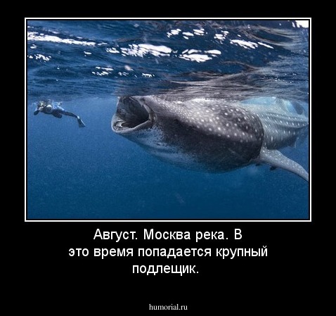 Август. Москва река. В это время попадается крупный подлещик.