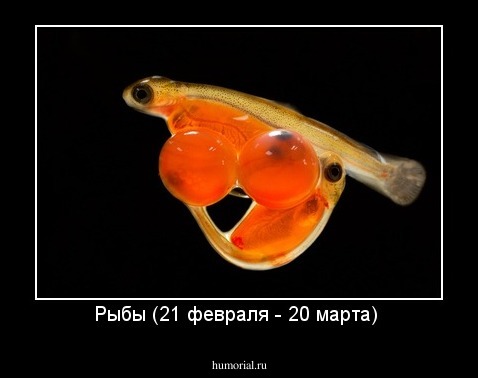 Рыбы (21 февраля - 20 марта) 