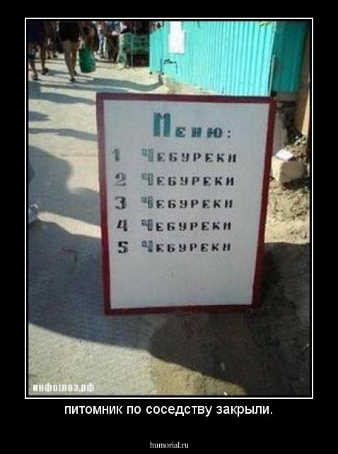 питомник по соседству закрыли.