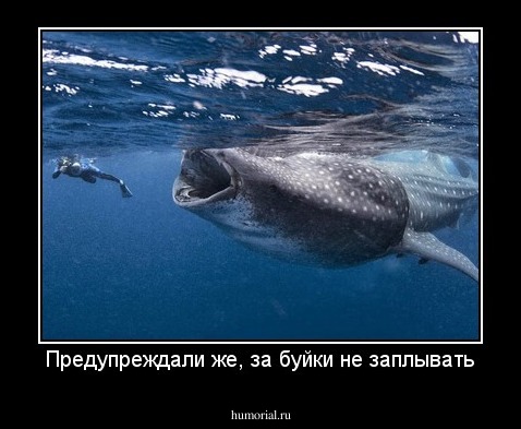 Предупреждали же, за буйки не заплывать