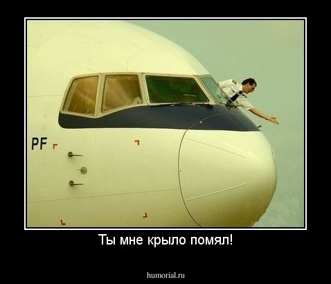 Ты мне крыло помял!