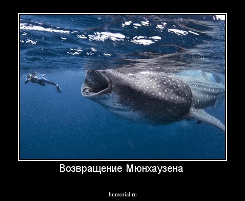 Возвращение Мюнхаузена 