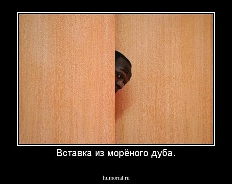 Вставка из морёного дуба.