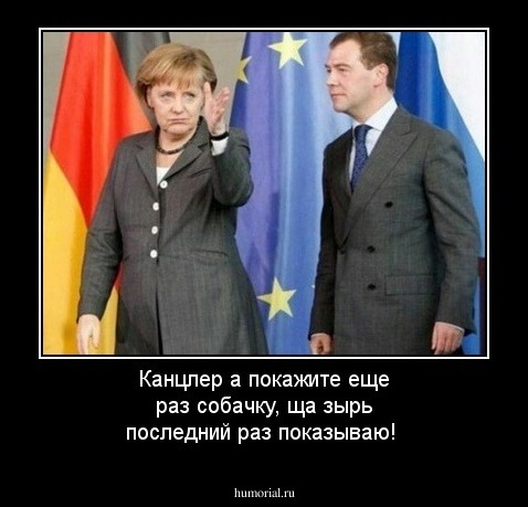 Канцлер а покажите еще раз собачку, ща зырь последний раз показываю!