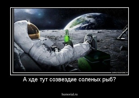 А хде тут созвездие соленых рыб?