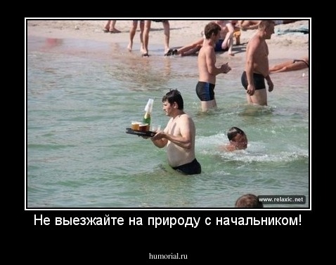 Не выезжайте на природу с начальником!