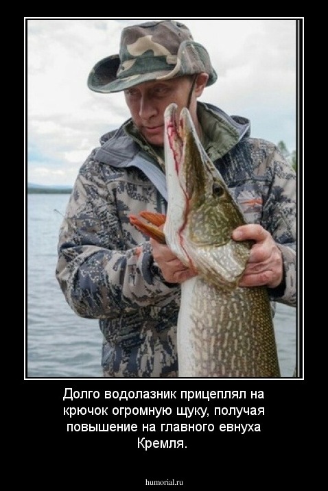 Долго водолазник прицеплял на крючок огромную щуку, получая повышение на главного евнуха Кремля.