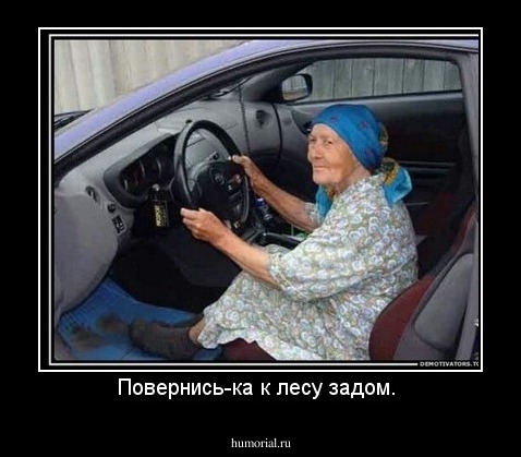 Повернись-ка к лесу задом. 