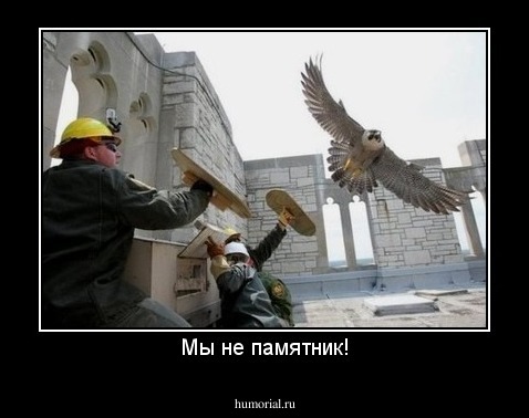 Мы не памятник!
