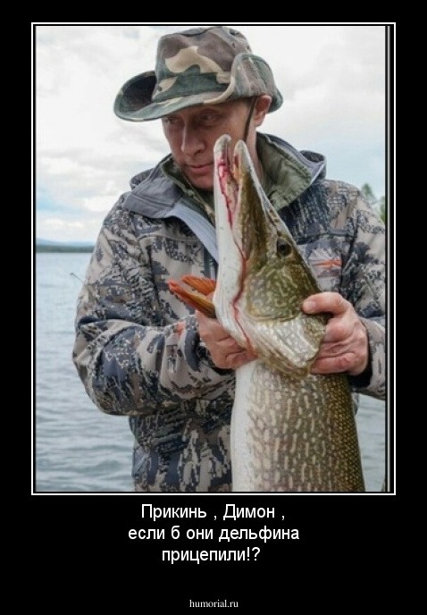 Прикинь , Димон , если б они дельфина прицепили!?