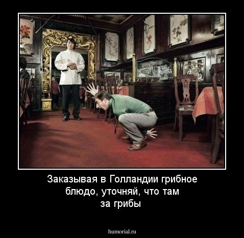 Заказывая в Голландии грибное блюдо, уточняй, что там за грибы