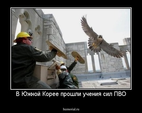 В Южной Корее прошли учения сил ПВО