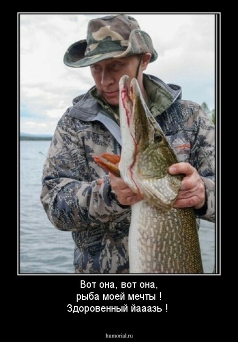 Вот она, вот она, рыба моей мечты ! Здоровенный йааазь !