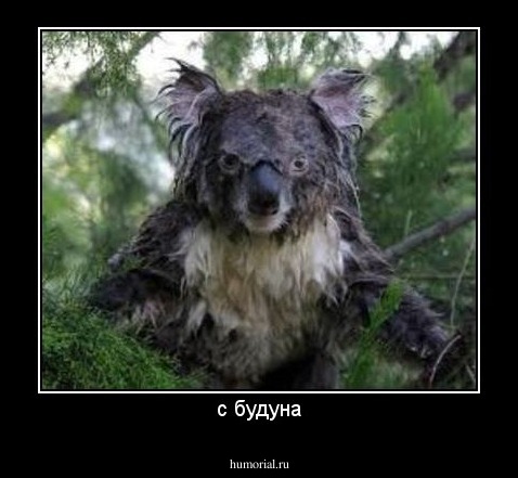с будуна