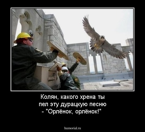 Колян, какого хрена ты пел эту дурацкую песню - "Орлёнок, орлёнок!"