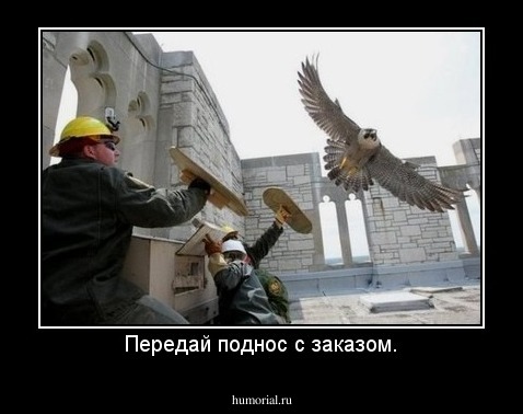 Передай поднос с заказом.