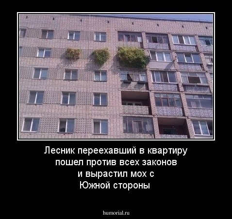 Лесник переехавший в квартиру пошел против всех законов и вырастил мох с Южной стороны