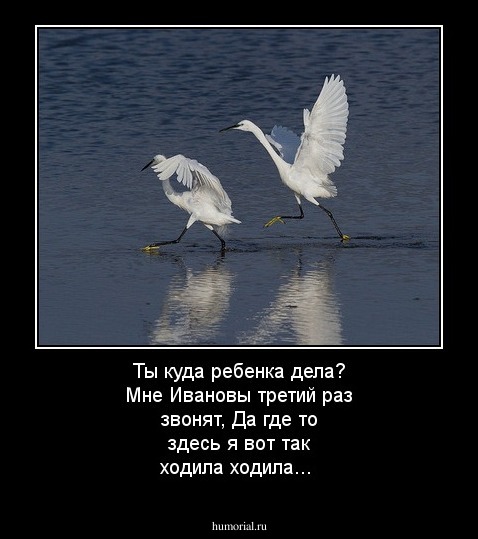 Ты куда ребенка дела? Мне Ивановы третий раз звонят,
Да где то здесь я вот так ходила ходила...