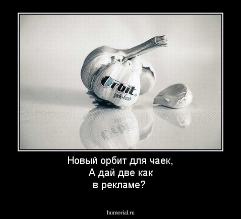 Новый орбит для чаек, А дай две как в рекламе?