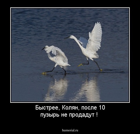 Быстрее, Колян, после 10 пузырь не продадут !