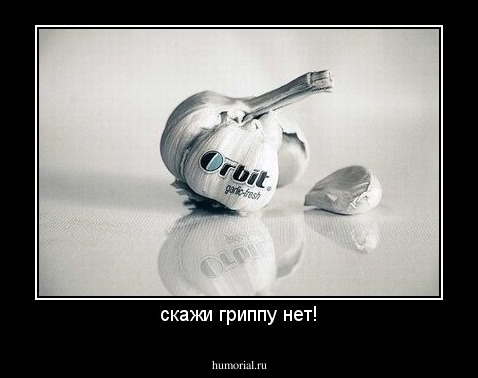 скажи гриппу нет!