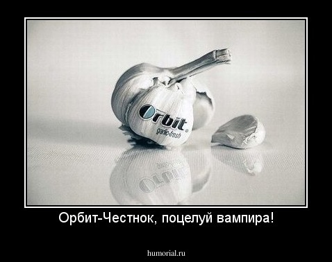 Орбит-Честнок, поцелуй вампира!