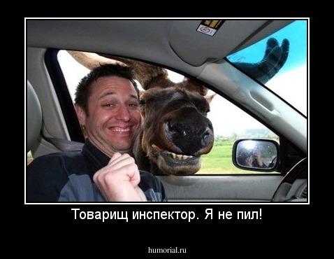 Товарищ инспектор. Я не пил!