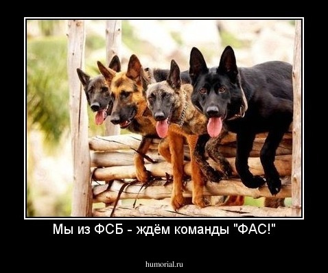Мы из ФСБ - ждём команды "ФАС!"