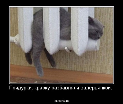 Придурки, краску разбавляли валерьянкой.