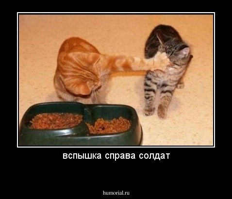 вспышка справа солдат
