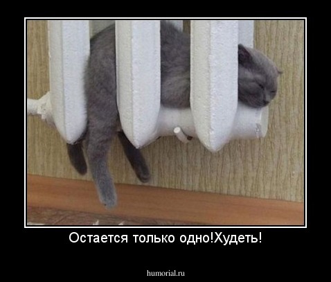Остается только одно!Худеть!