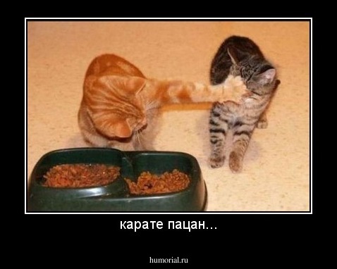 карате пацан...