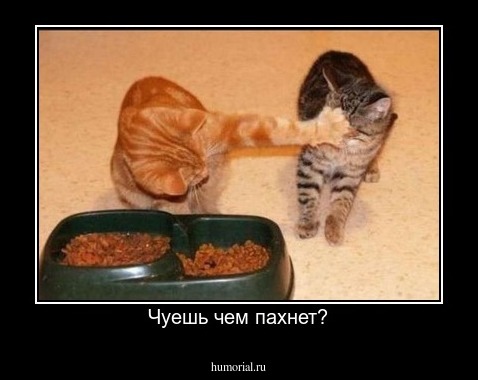 Чуешь чем пахнет?