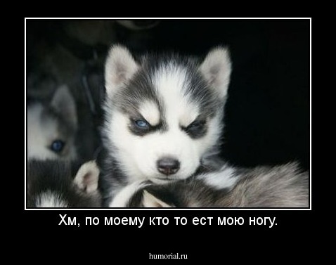 Хм, по моему кто то ест мою ногу.