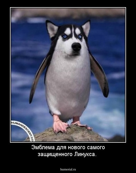 Эмблема для нового самого защищенного Линукса.