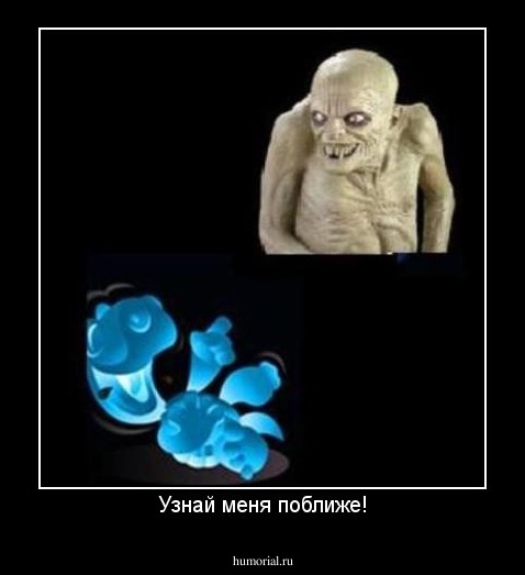 Узнай меня поближе!