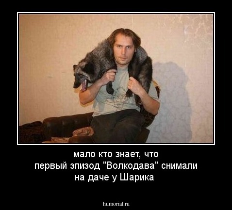 мало кто знает, что первый эпизод "Волкодава" снимали на даче у Шарика