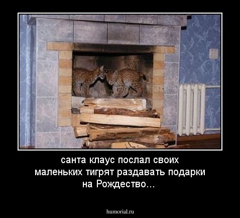 санта клаус послал своих маленьких тигрят раздавать подарки на Рождество...