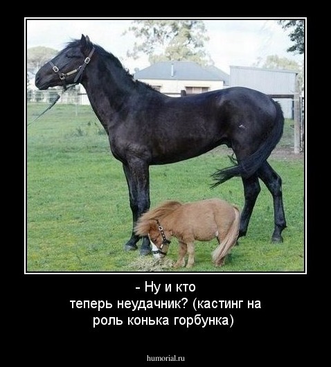 - Ну и кто теперь неудачник? (кастинг на роль конька горбунка)
