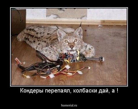 Кондеры перепаял, колбаски дай, а !