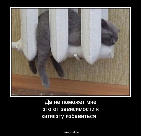 Да не поможет мне это от зависимости к китикэту избавиться.