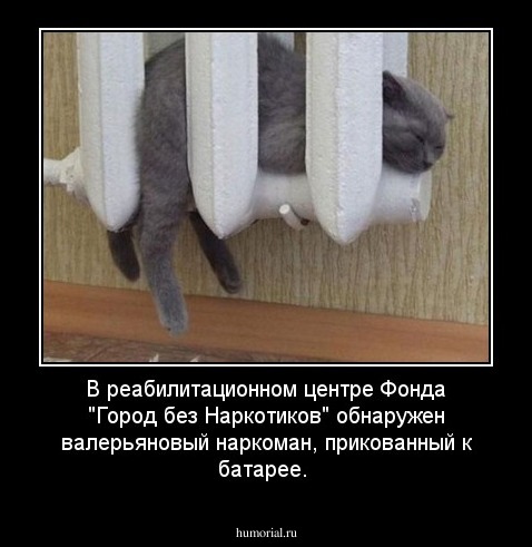 В реабилитационном центре Фонда "Город без Наркотиков" обнаружен валерьяновый наркоман, прикованный к батарее.