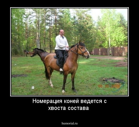 Номерация коней ведется с хвоста состава