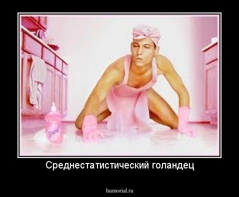 Среднестатистический голандец