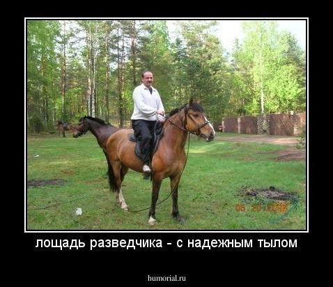 лощадь разведчика - с надежным тылом