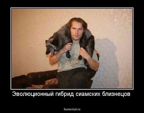 Эволюционный гибрид сиамских близнецов